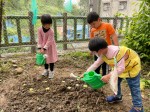 幼兒園110年3月活動照片:幫青江菜澆水