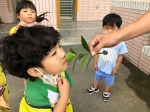 幼兒園課程活動(5月):LINE_ALBUM_5月課程活動照_230602_3