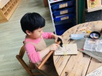 幼兒園課程活動(5月):S__71532552