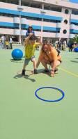 114年校慶運動會幼兒園精彩影集:502379